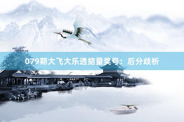 079期大飞大乐透掂量奖号：后分歧析