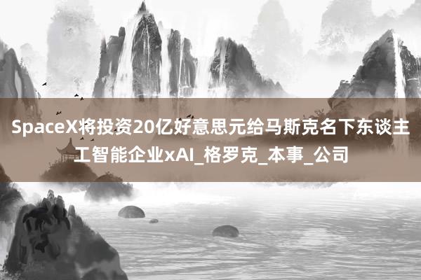 SpaceX将投资20亿好意思元给马斯克名下东谈主工智能企业xAI_格罗克_本事_公司