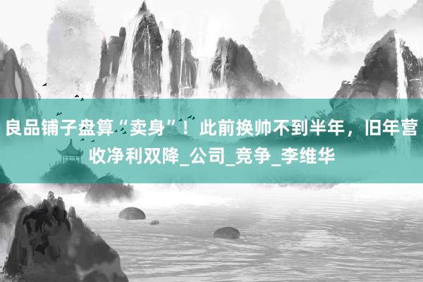 良品铺子盘算“卖身”！此前换帅不到半年，旧年营收净利双降_公司_竞争_李维华