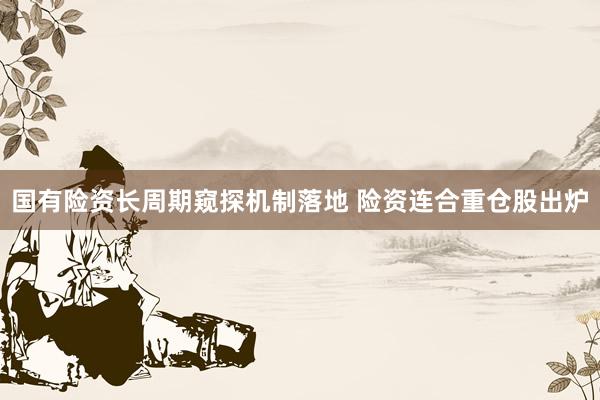 国有险资长周期窥探机制落地 险资连合重仓股出炉