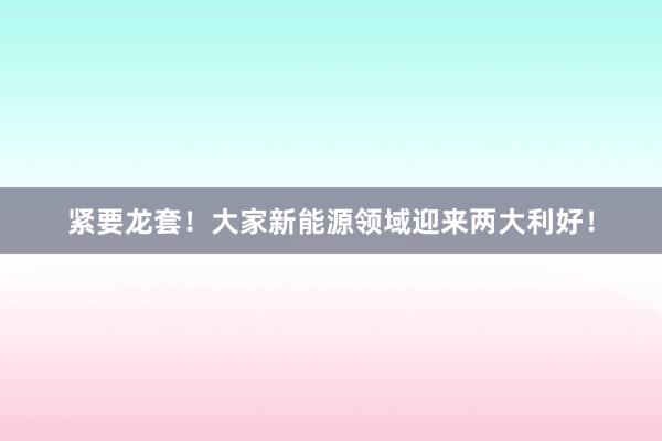紧要龙套！大家新能源领域迎来两大利好！