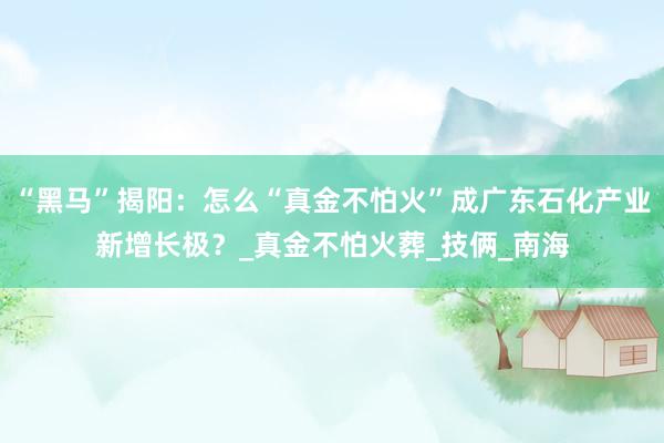 “黑马”揭阳：怎么“真金不怕火”成广东石化产业新增长极？_真金不怕火葬_技俩_南海