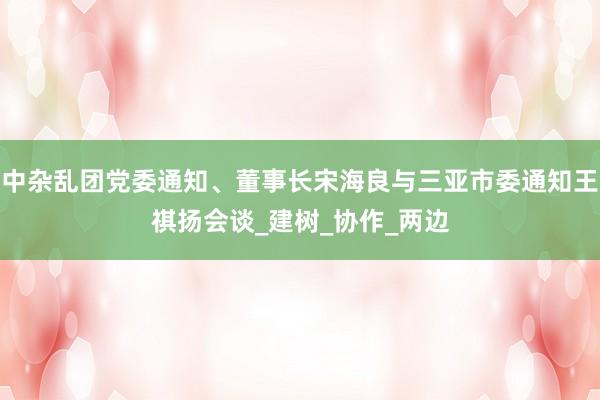 中杂乱团党委通知、董事长宋海良与三亚市委通知王祺扬会谈_建树_协作_两边