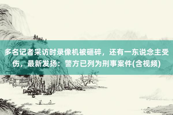 多名记者采访时录像机被砸碎，还有一东说念主受伤，最新发扬：警方已列为刑事案件(含视频)