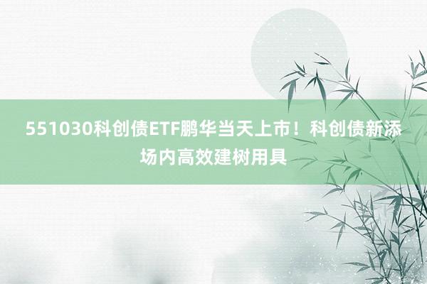 551030科创债ETF鹏华当天上市！科创债新添场内高效建树用具