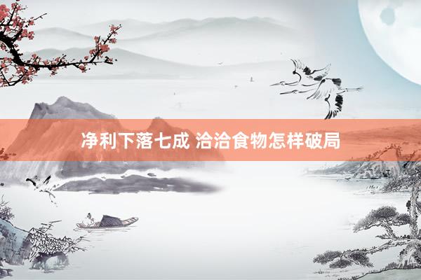 净利下落七成 洽洽食物怎样破局