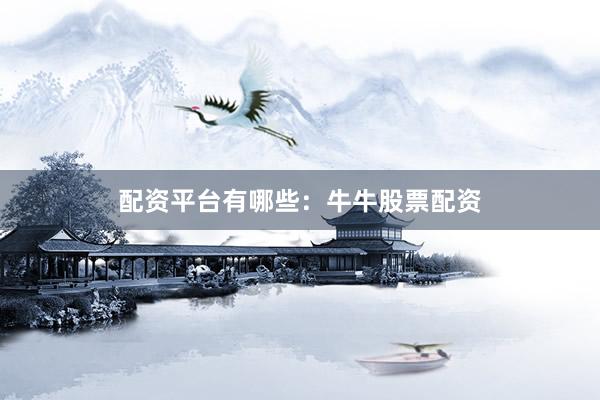配资平台有哪些：牛牛股票配资