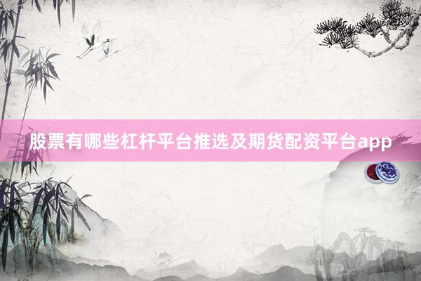 股票有哪些杠杆平台推选及期货配资平台app