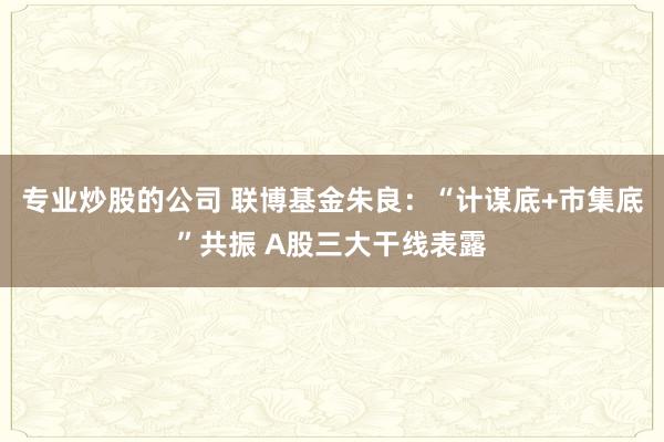专业炒股的公司 联博基金朱良：“计谋底+市集底”共振 A股三大干线表露