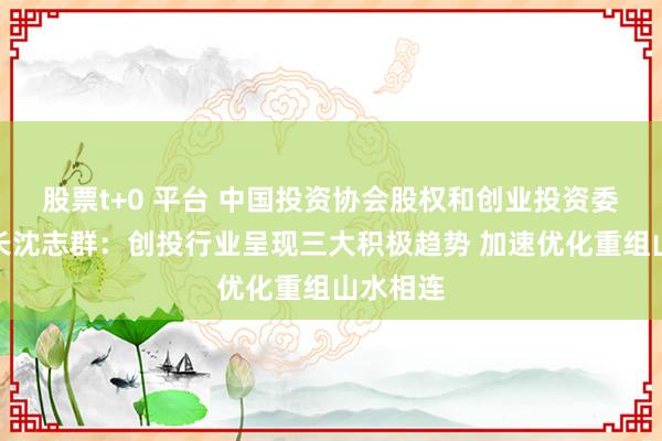 股票t+0 平台 中国投资协会股权和创业投资委员会会长沈志群：创投行业呈现三大积极趋势 加速优化重组山水相连