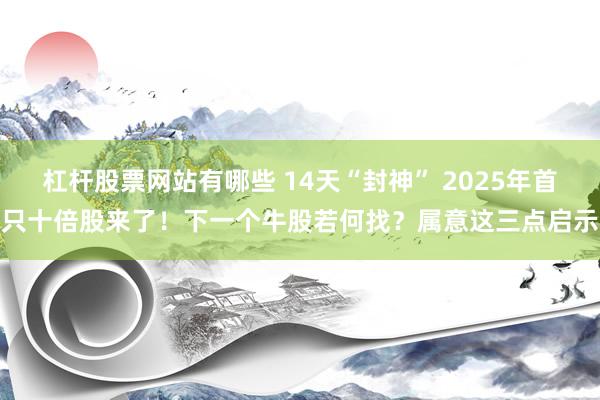 杠杆股票网站有哪些 14天“封神” 2025年首只十倍股来了！下一个牛股若何找？属意这三点启示