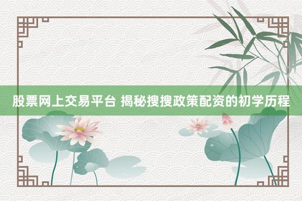 股票网上交易平台 揭秘搜搜政策配资的初学历程