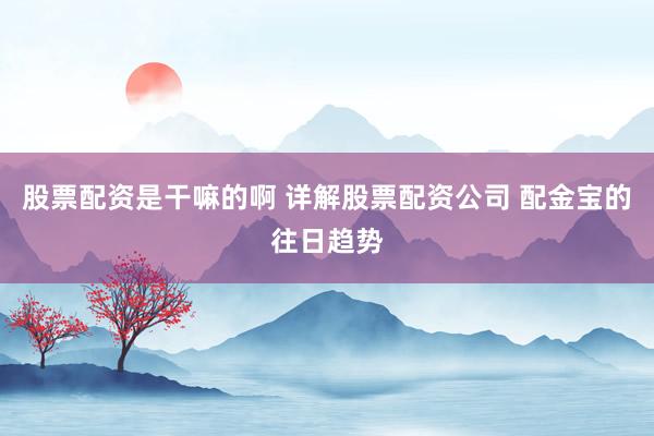 股票配资是干嘛的啊 详解股票配资公司 配金宝的往日趋势