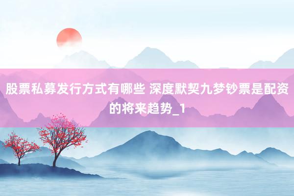 股票私募发行方式有哪些 深度默契九梦钞票是配资的将来趋势_1