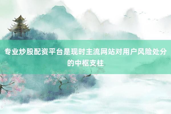 专业炒股配资平台是现时主流网站对用户风险处分的中枢支柱