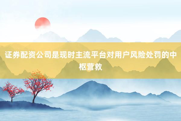 证券配资公司是现时主流平台对用户风险处罚的中枢营救