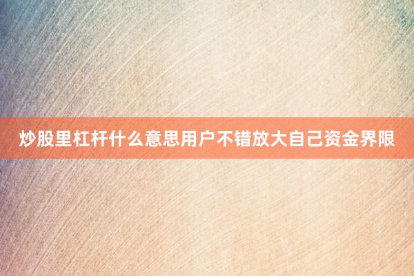 炒股里杠杆什么意思用户不错放大自己资金界限