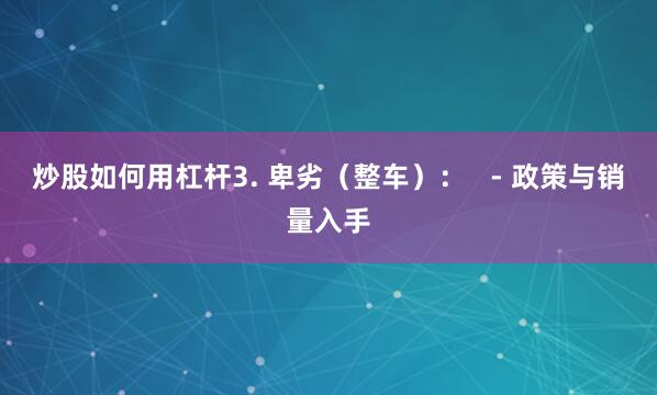 炒股如何用杠杆3. 卑劣（整车）：   - 政策与销量入手