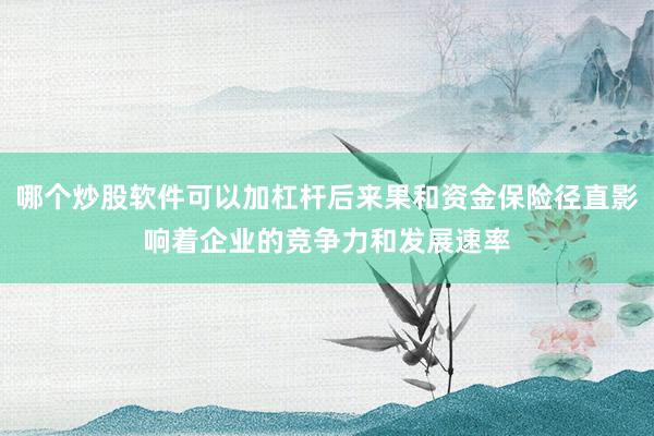 哪个炒股软件可以加杠杆后来果和资金保险径直影响着企业的竞争力和发展速率
