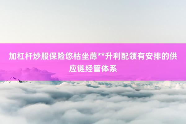 加杠杆炒股保险悠枯坐蓐**升利配领有安排的供应链经管体系