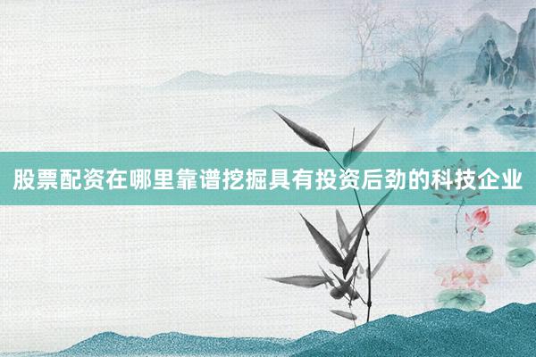 股票配资在哪里靠谱挖掘具有投资后劲的科技企业