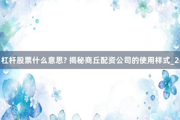 杠杆股票什么意思? 揭秘商丘配资公司的使用样式_2