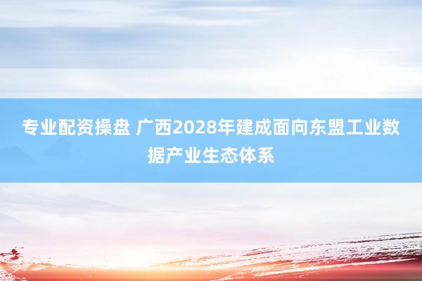 专业配资操盘 广西2028年建成面向东盟工业数据产业生态体系