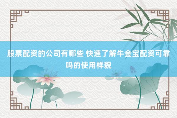 股票配资的公司有哪些 快速了解牛金宝配资可靠吗的使用样貌