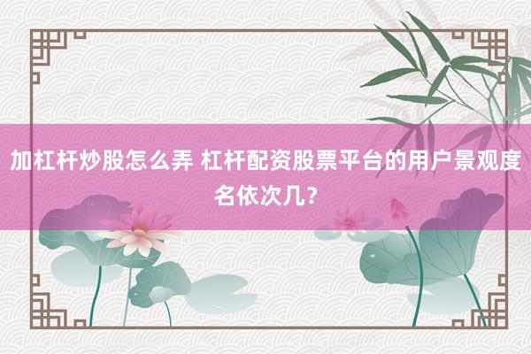 加杠杆炒股怎么弄 杠杆配资股票平台的用户景观度名依次几？