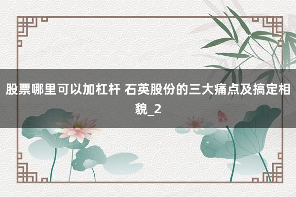 股票哪里可以加杠杆 石英股份的三大痛点及搞定相貌_2